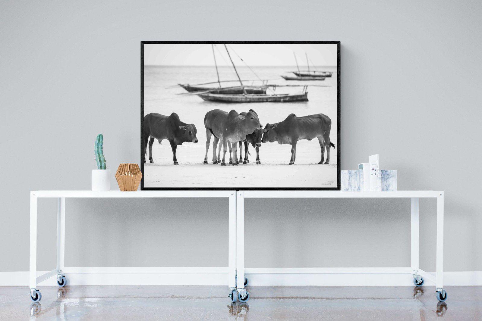 Beach Cattle-Wall_Art-120 x 90cm-Mounted Canvas-Black-Pixalot