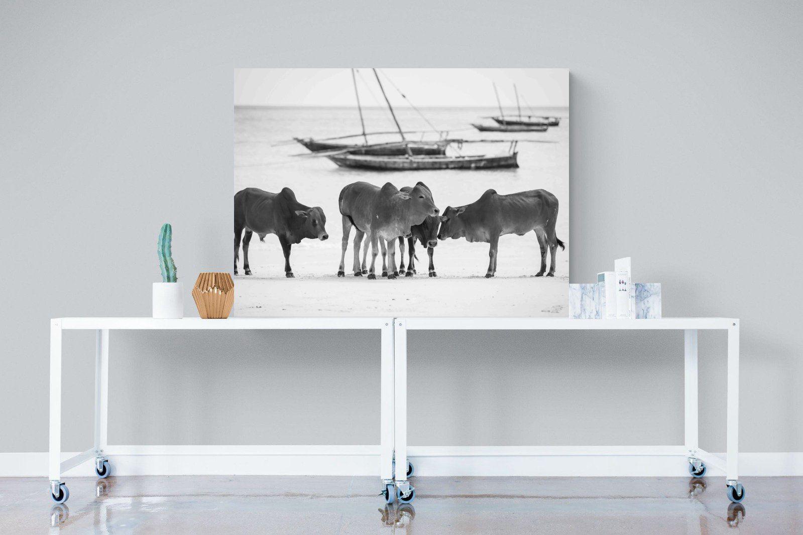 Beach Cattle-Wall_Art-120 x 90cm-Mounted Canvas-No Frame-Pixalot