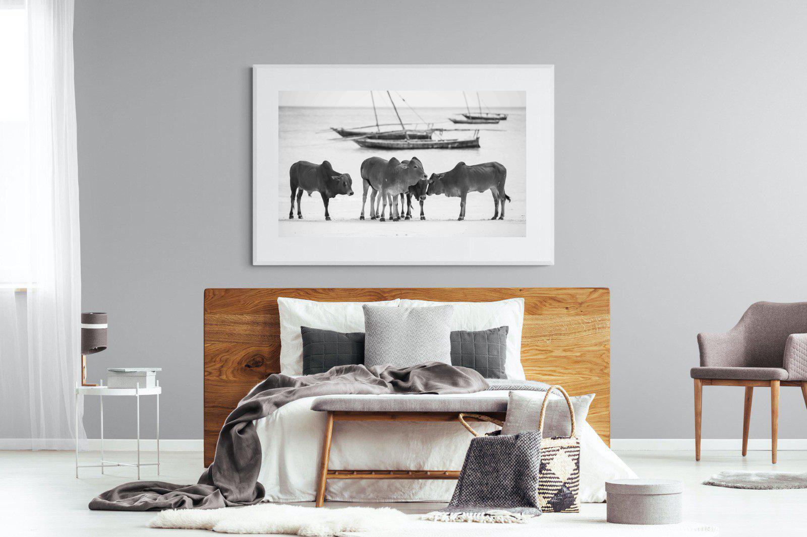 Beach Cattle-Wall_Art-150 x 100cm-Framed Print-White-Pixalot