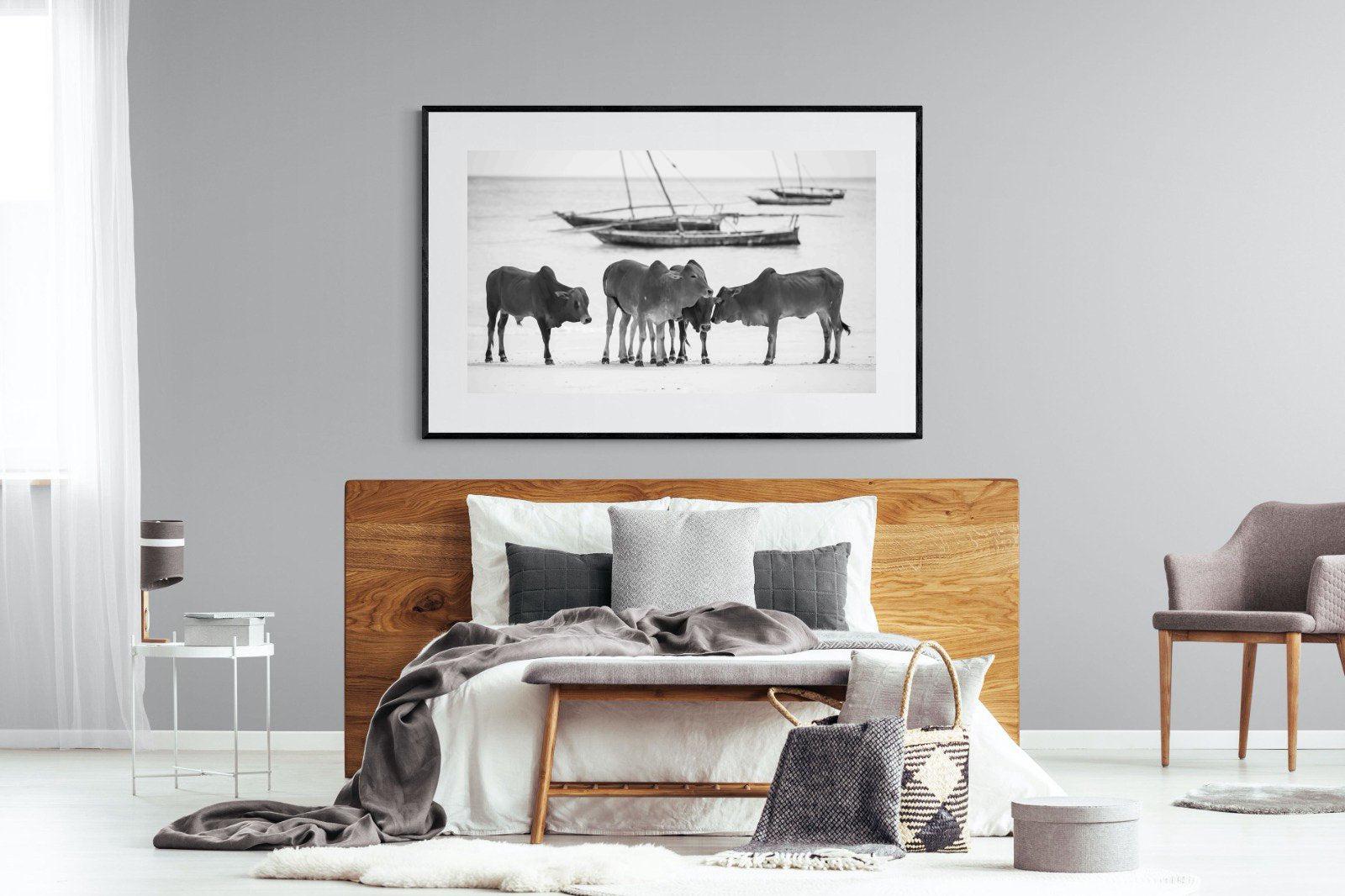 Beach Cattle-Wall_Art-150 x 100cm-Framed Print-Black-Pixalot