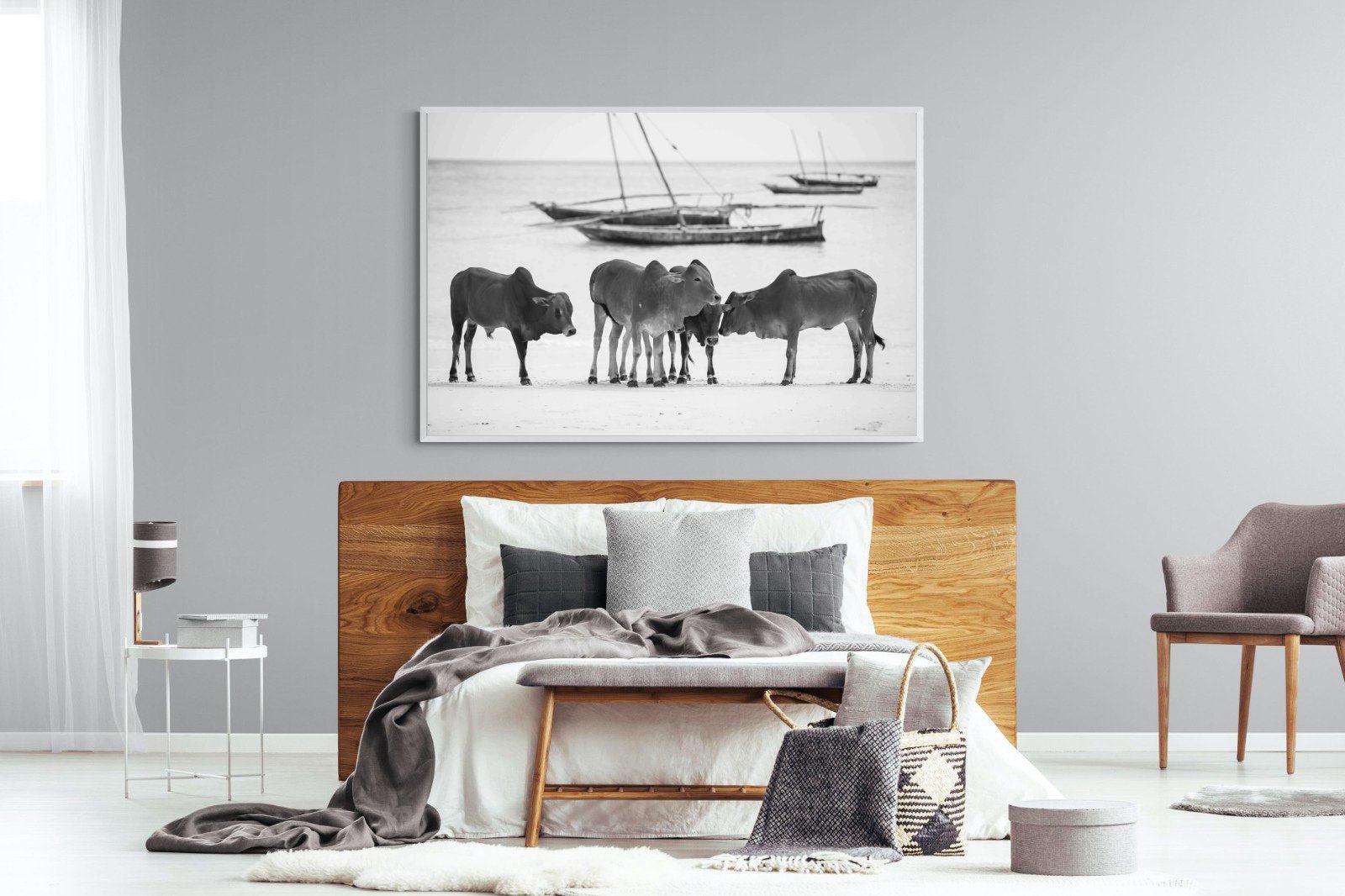 Beach Cattle-Wall_Art-150 x 100cm-Mounted Canvas-White-Pixalot