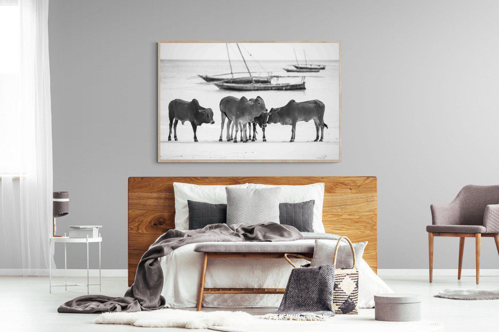 Beach Cattle-Wall_Art-150 x 100cm-Mounted Canvas-Wood-Pixalot