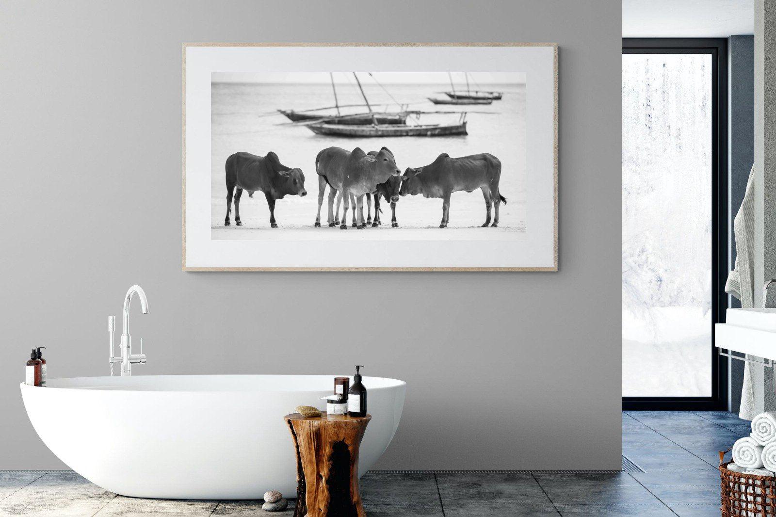 Beach Cattle-Wall_Art-180 x 110cm-Framed Print-Wood-Pixalot
