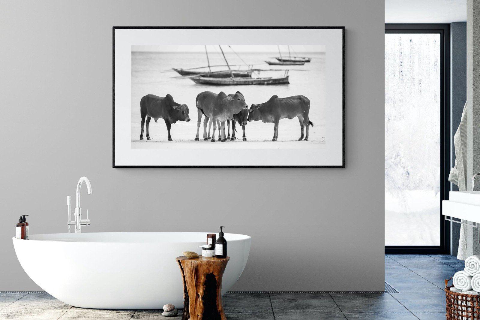 Beach Cattle-Wall_Art-180 x 110cm-Framed Print-Black-Pixalot