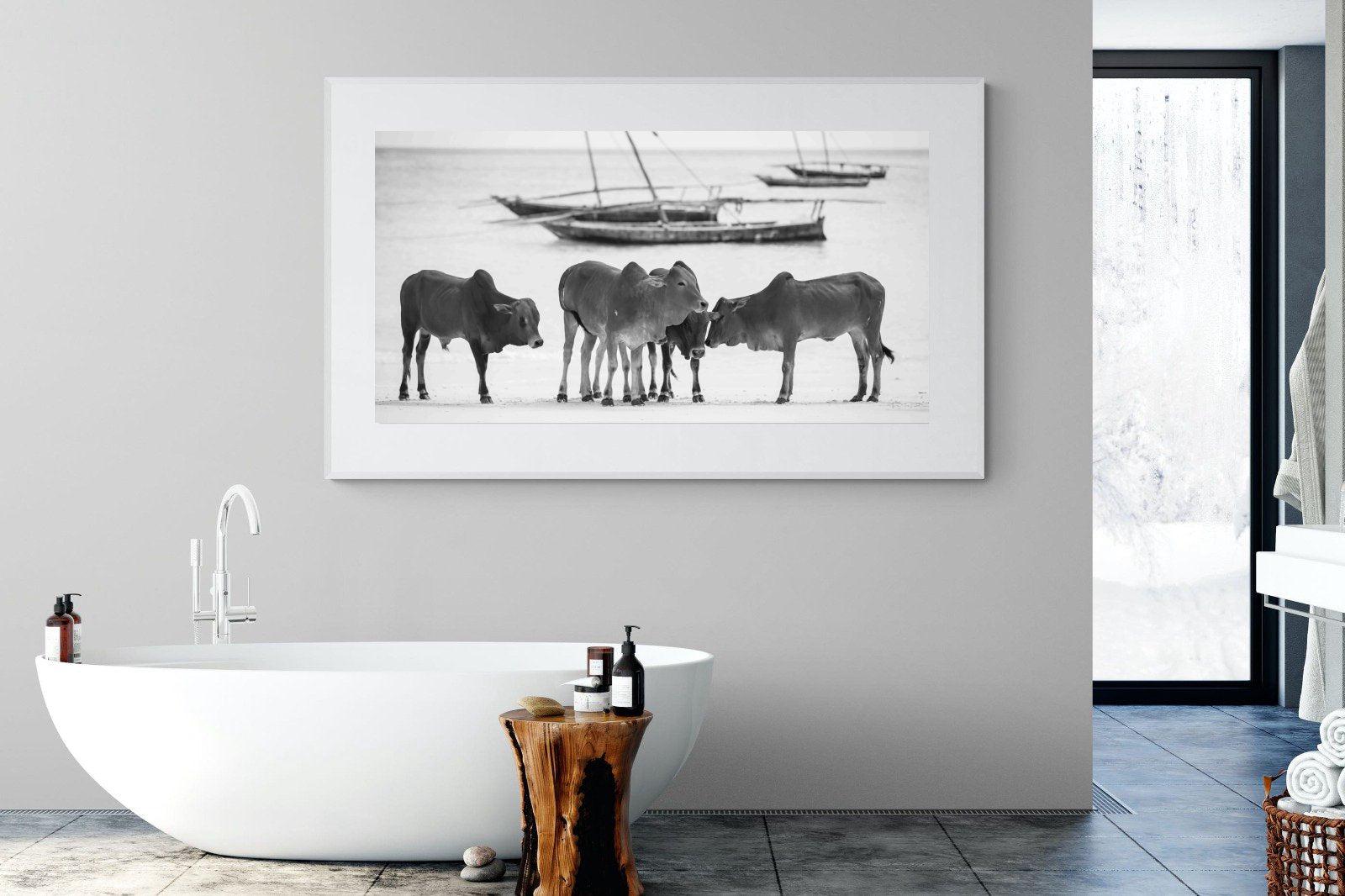 Beach Cattle-Wall_Art-180 x 110cm-Framed Print-White-Pixalot