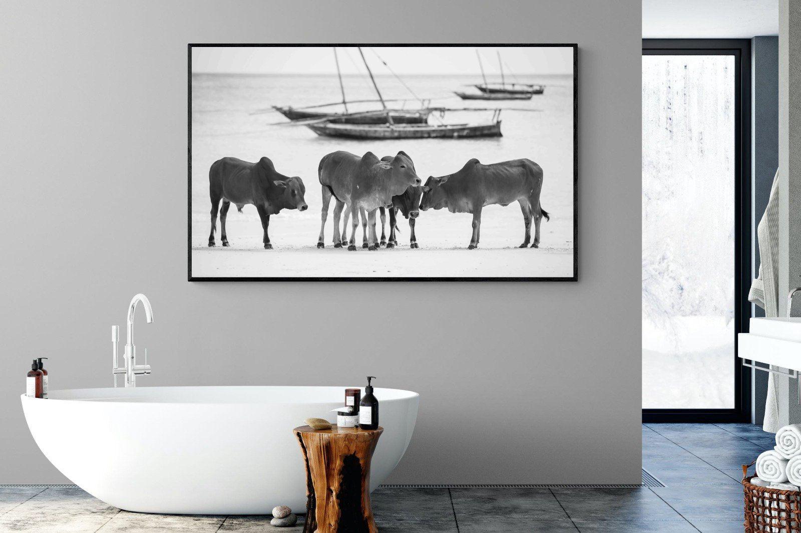 Beach Cattle-Wall_Art-180 x 110cm-Mounted Canvas-Black-Pixalot