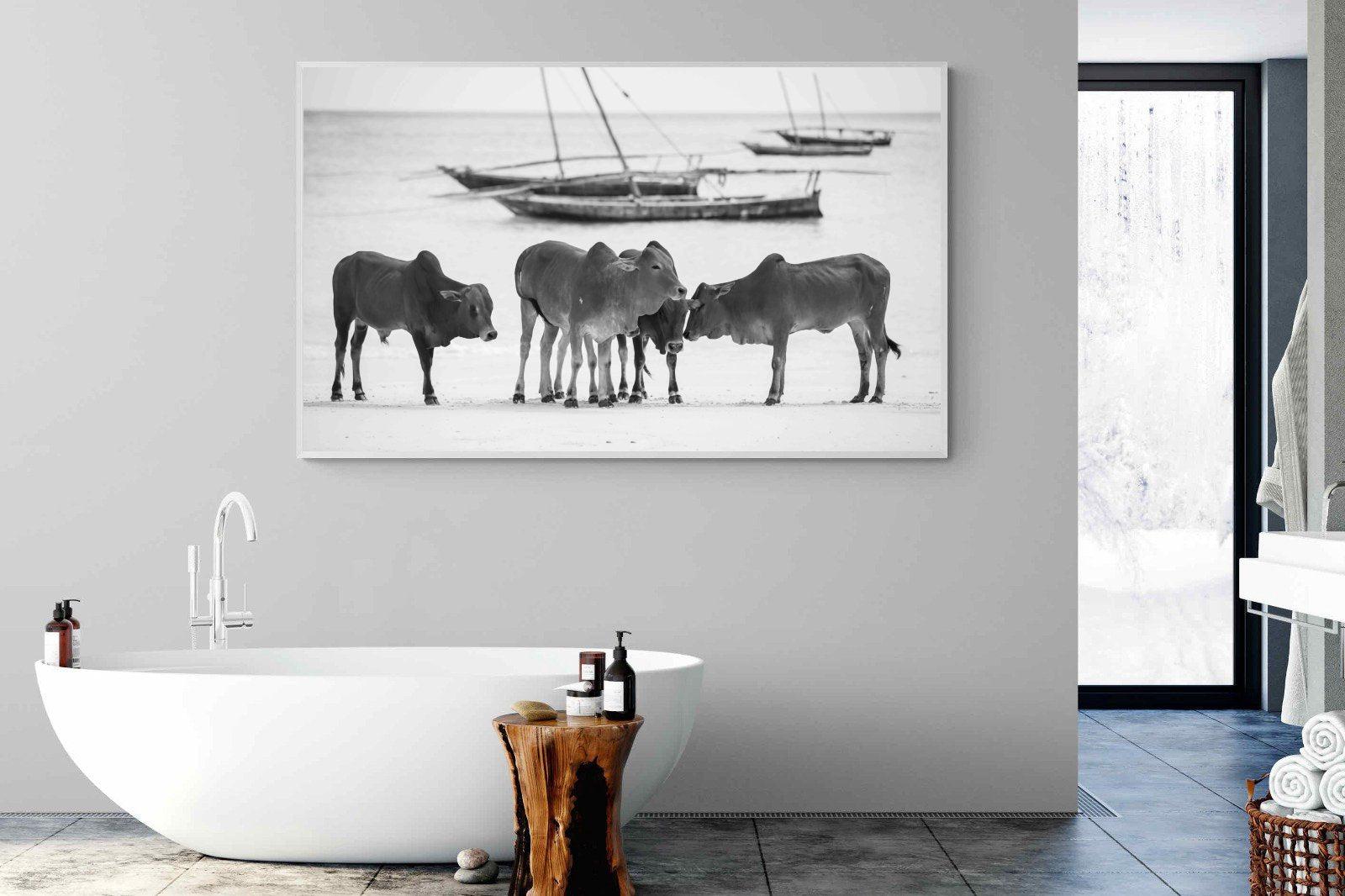 Beach Cattle-Wall_Art-180 x 110cm-Mounted Canvas-White-Pixalot