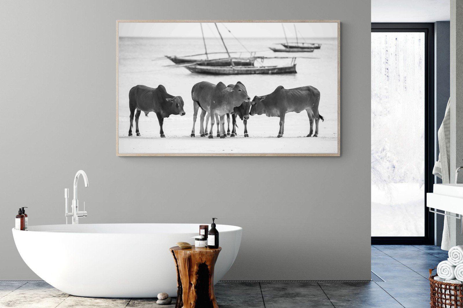 Beach Cattle-Wall_Art-180 x 110cm-Mounted Canvas-Wood-Pixalot