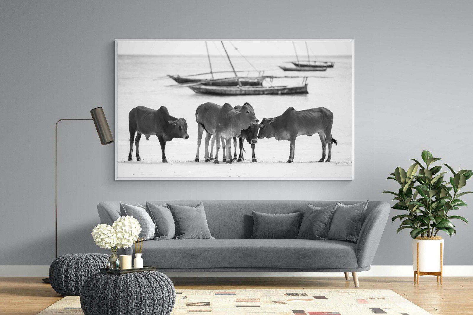 Beach Cattle-Wall_Art-220 x 130cm-Mounted Canvas-White-Pixalot