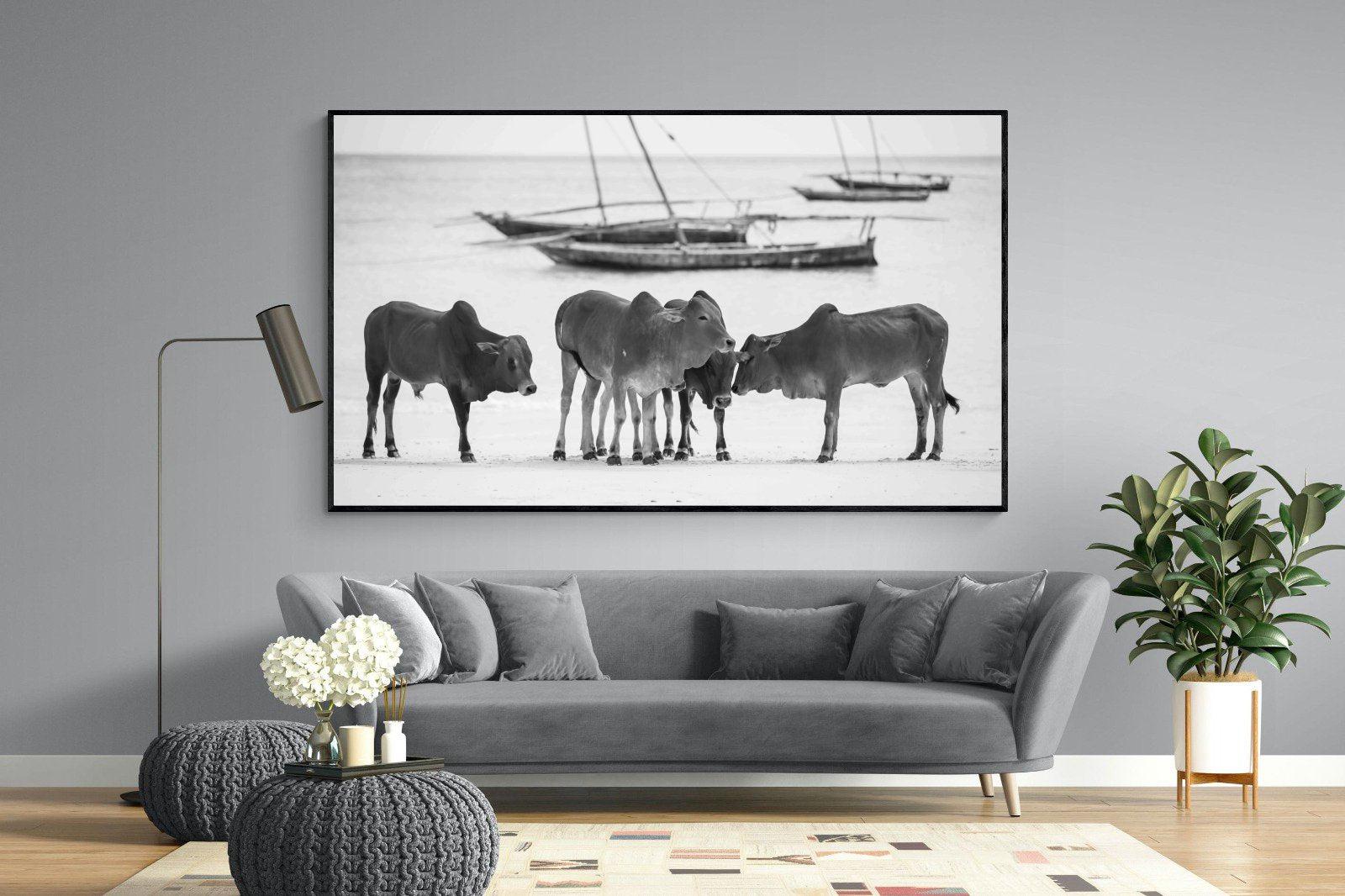 Beach Cattle-Wall_Art-220 x 130cm-Mounted Canvas-Black-Pixalot