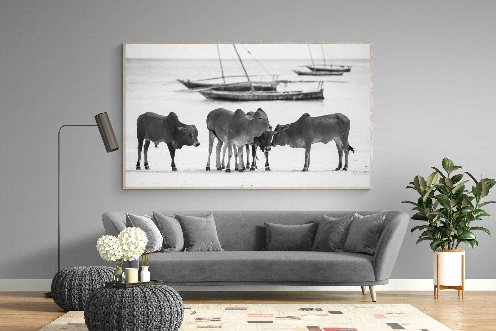 Beach Cattle-Wall_Art-220 x 130cm-Mounted Canvas-Wood-Pixalot