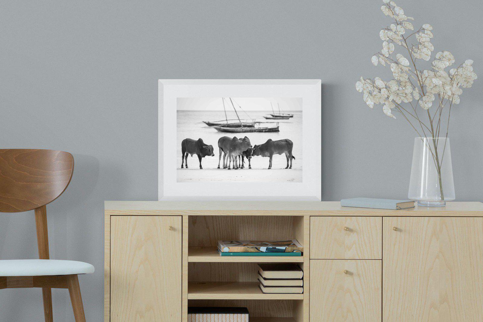 Beach Cattle-Wall_Art-60 x 45cm-Framed Print-White-Pixalot