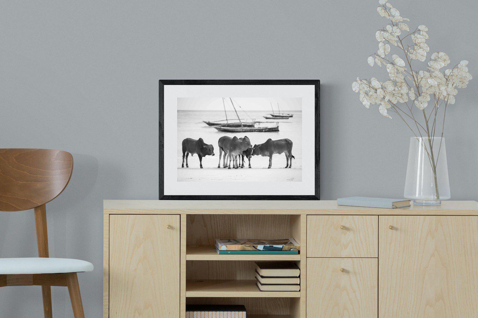 Beach Cattle-Wall_Art-60 x 45cm-Framed Print-Black-Pixalot