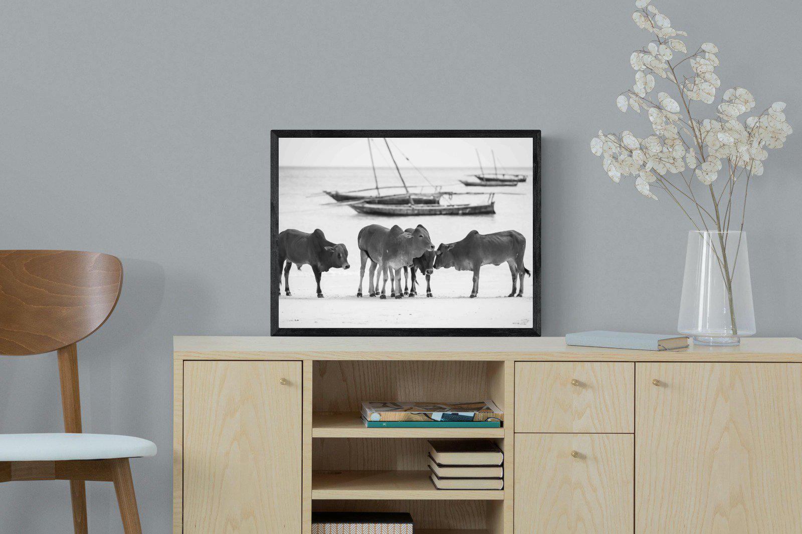 Beach Cattle-Wall_Art-60 x 45cm-Mounted Canvas-Black-Pixalot