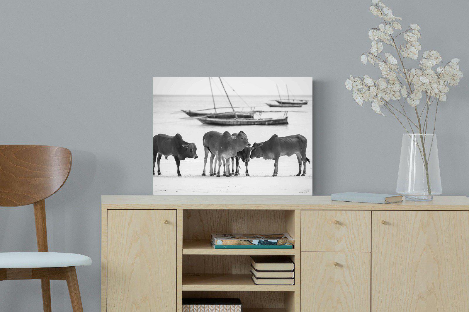 Beach Cattle-Wall_Art-60 x 45cm-Mounted Canvas-No Frame-Pixalot