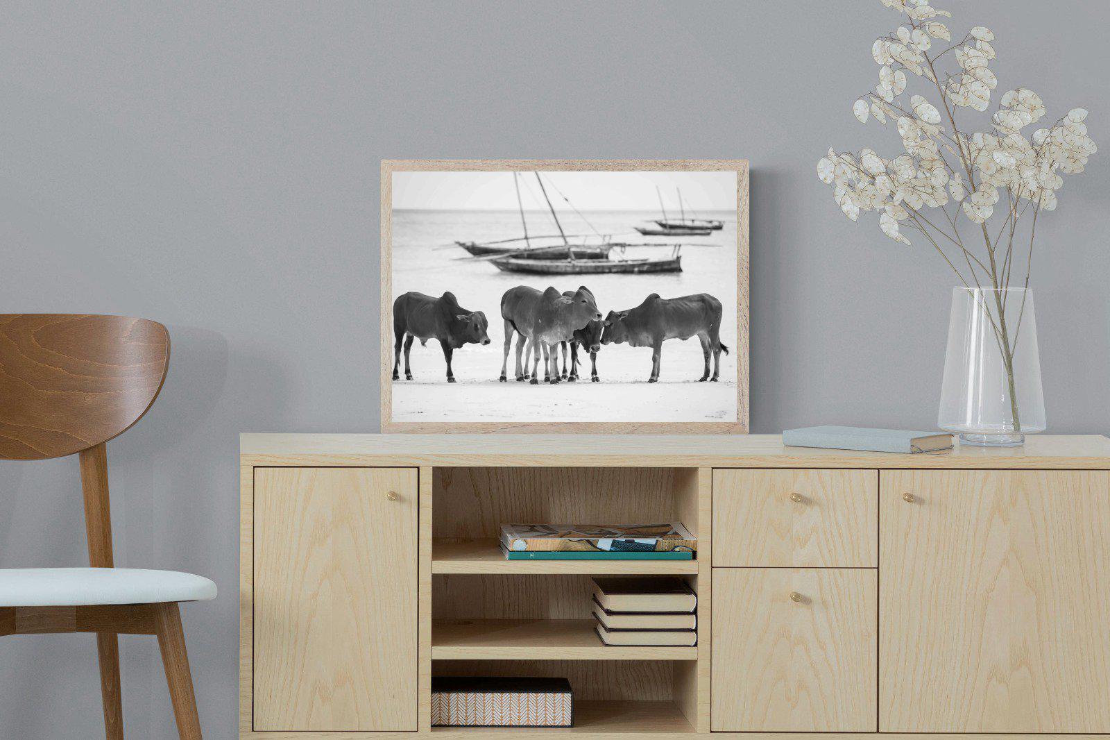 Beach Cattle-Wall_Art-60 x 45cm-Mounted Canvas-Wood-Pixalot