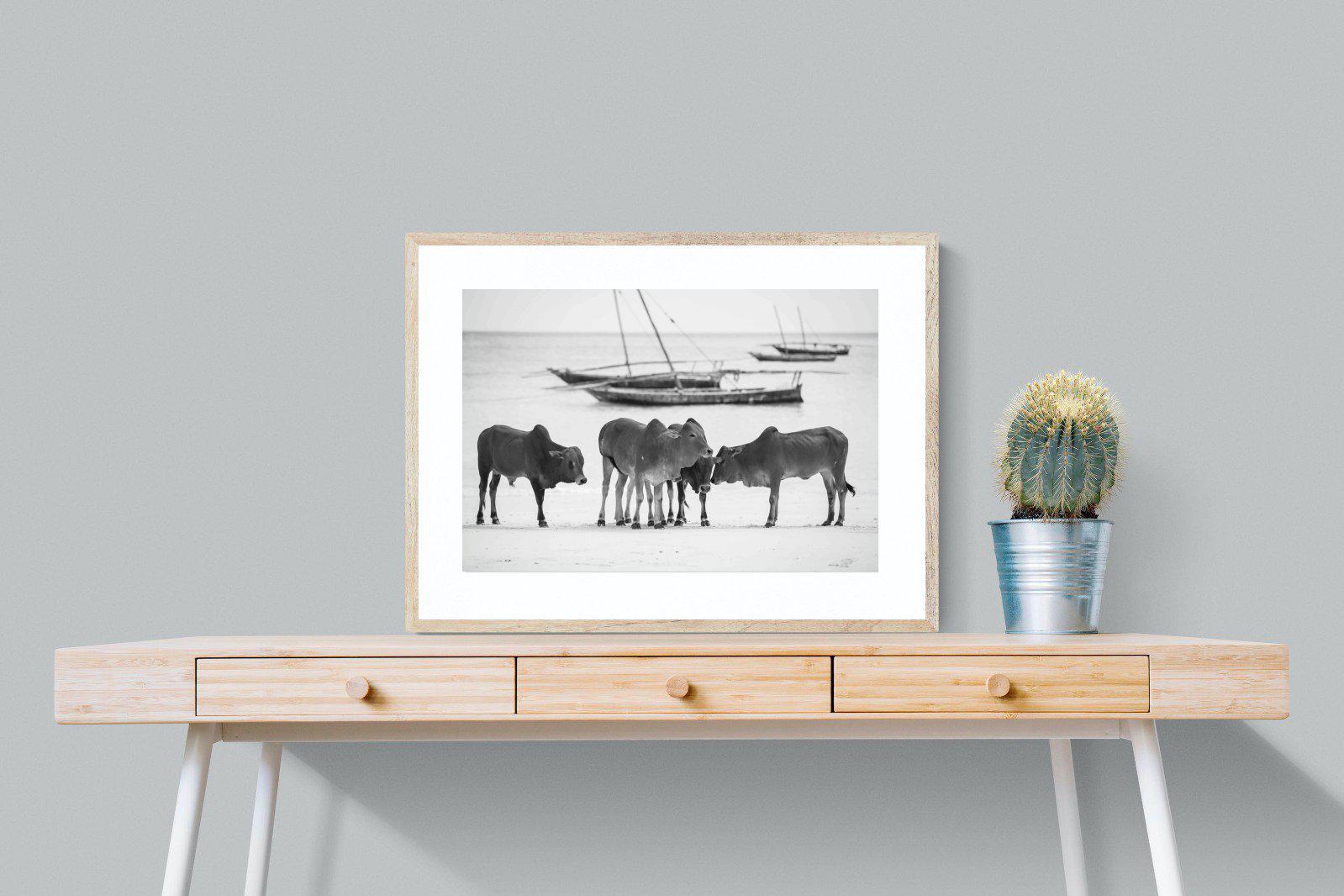 Beach Cattle-Wall_Art-80 x 60cm-Framed Print-Wood-Pixalot