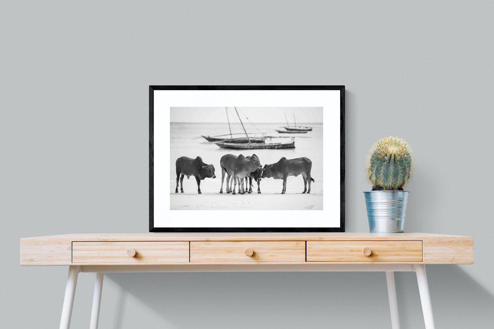 Beach Cattle-Wall_Art-80 x 60cm-Framed Print-Black-Pixalot