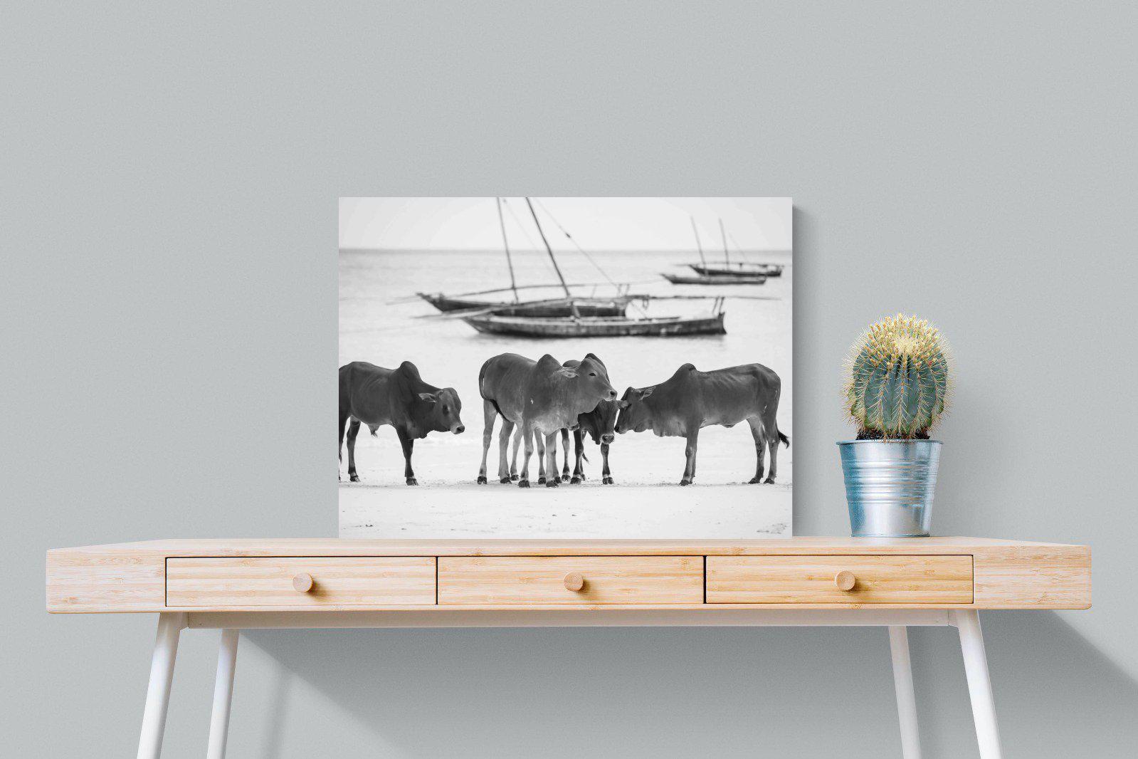 Beach Cattle-Wall_Art-80 x 60cm-Mounted Canvas-No Frame-Pixalot