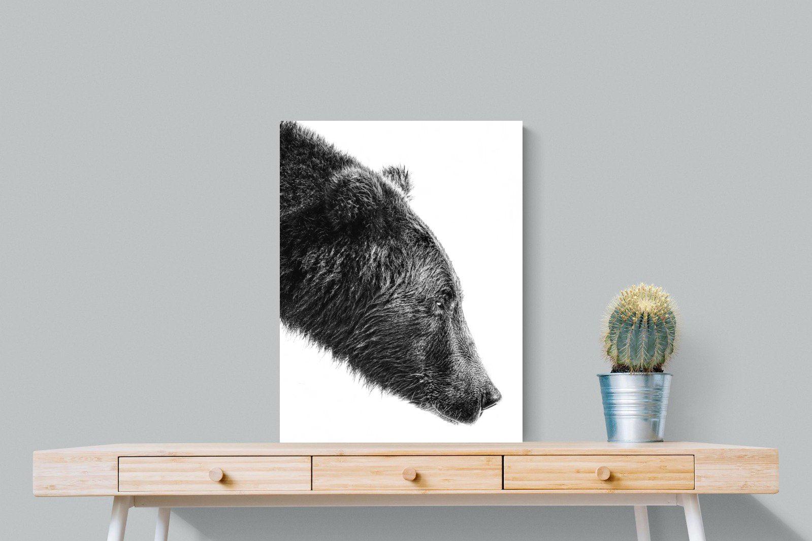 Bear-Wall_Art-60 x 80cm-Mounted Canvas-No Frame-Pixalot