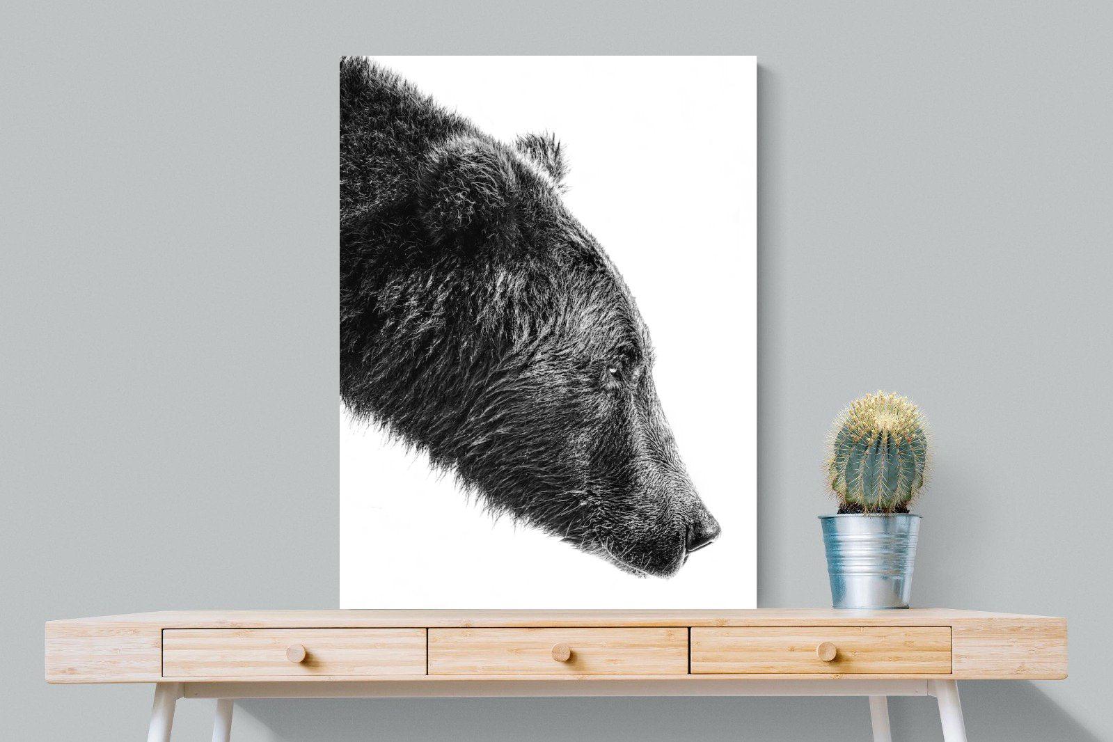 Bear-Wall_Art-75 x 100cm-Mounted Canvas-No Frame-Pixalot