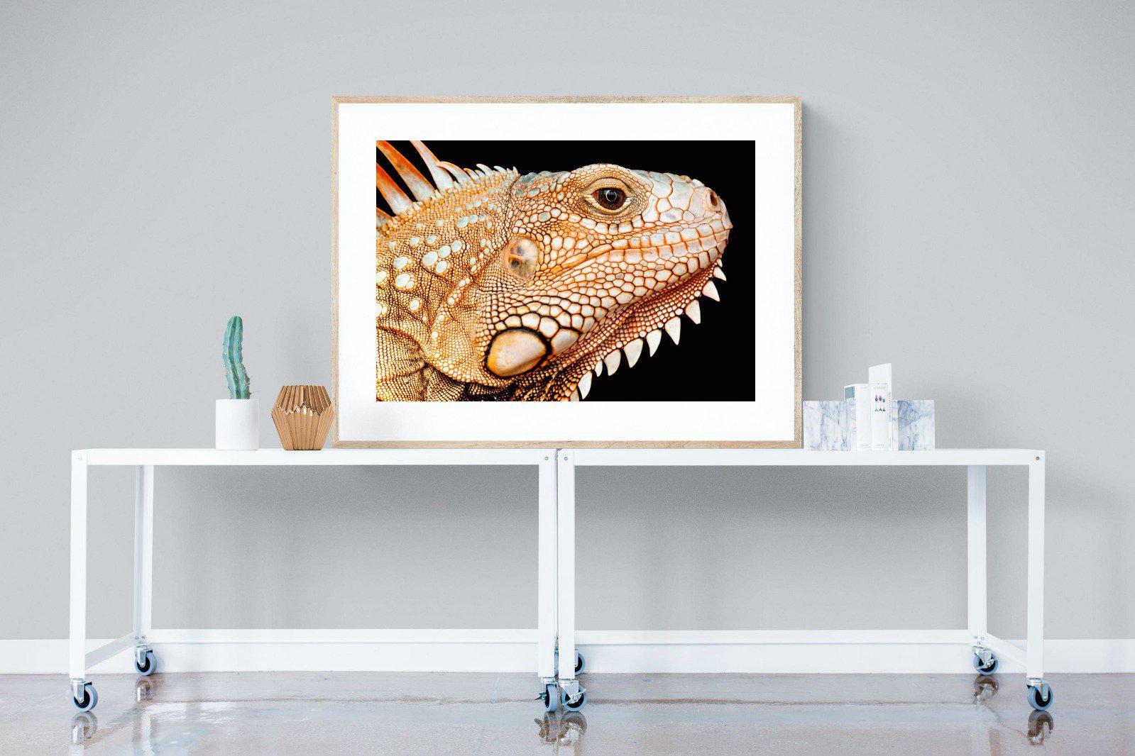Bearded Dragon-Wall_Art-120 x 90cm-Framed Print-Wood-Pixalot