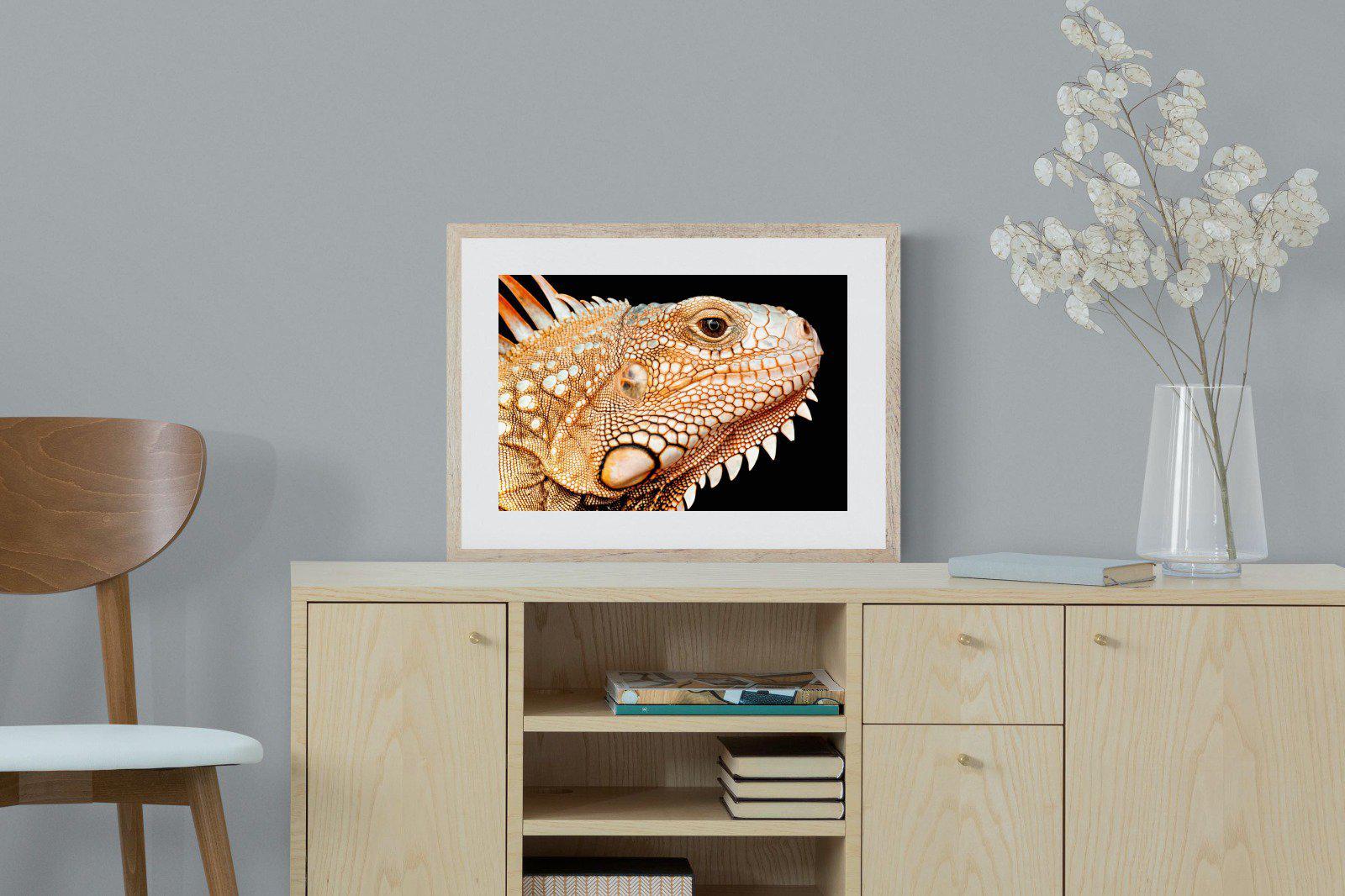 Bearded Dragon-Wall_Art-60 x 45cm-Framed Print-Wood-Pixalot