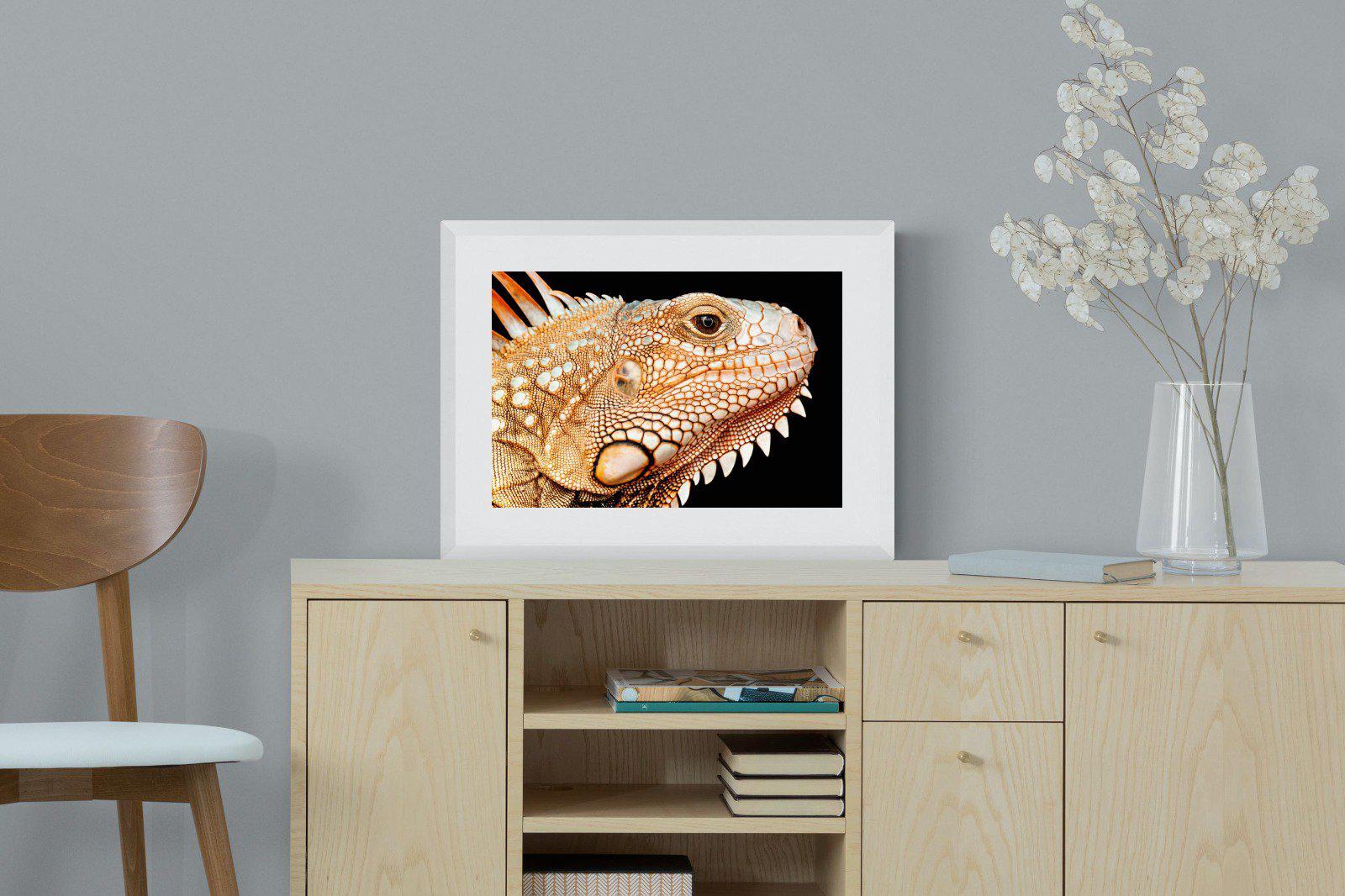 Bearded Dragon-Wall_Art-60 x 45cm-Framed Print-White-Pixalot