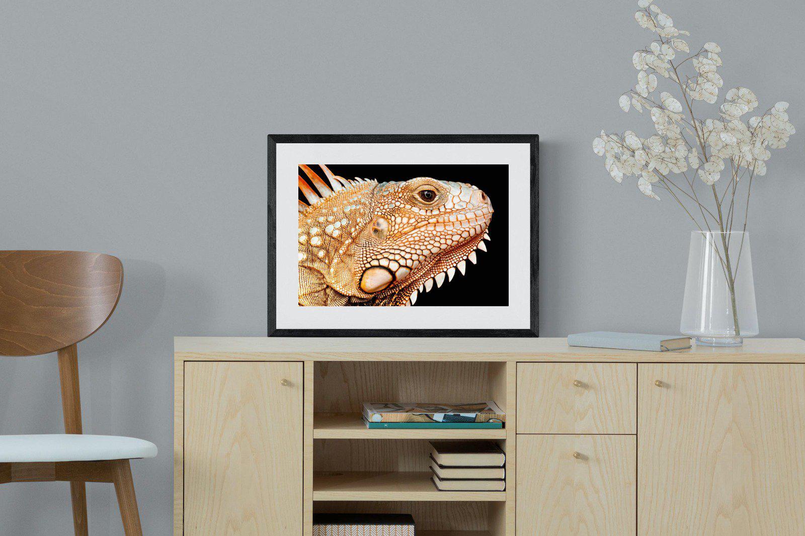 Bearded Dragon-Wall_Art-60 x 45cm-Framed Print-Black-Pixalot
