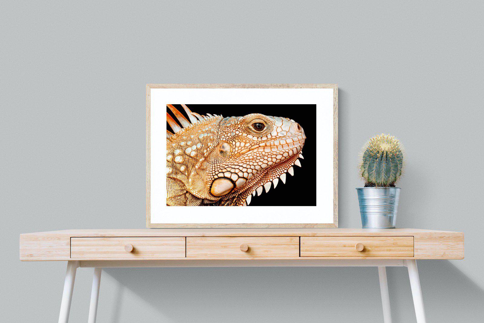 Bearded Dragon-Wall_Art-80 x 60cm-Framed Print-Wood-Pixalot