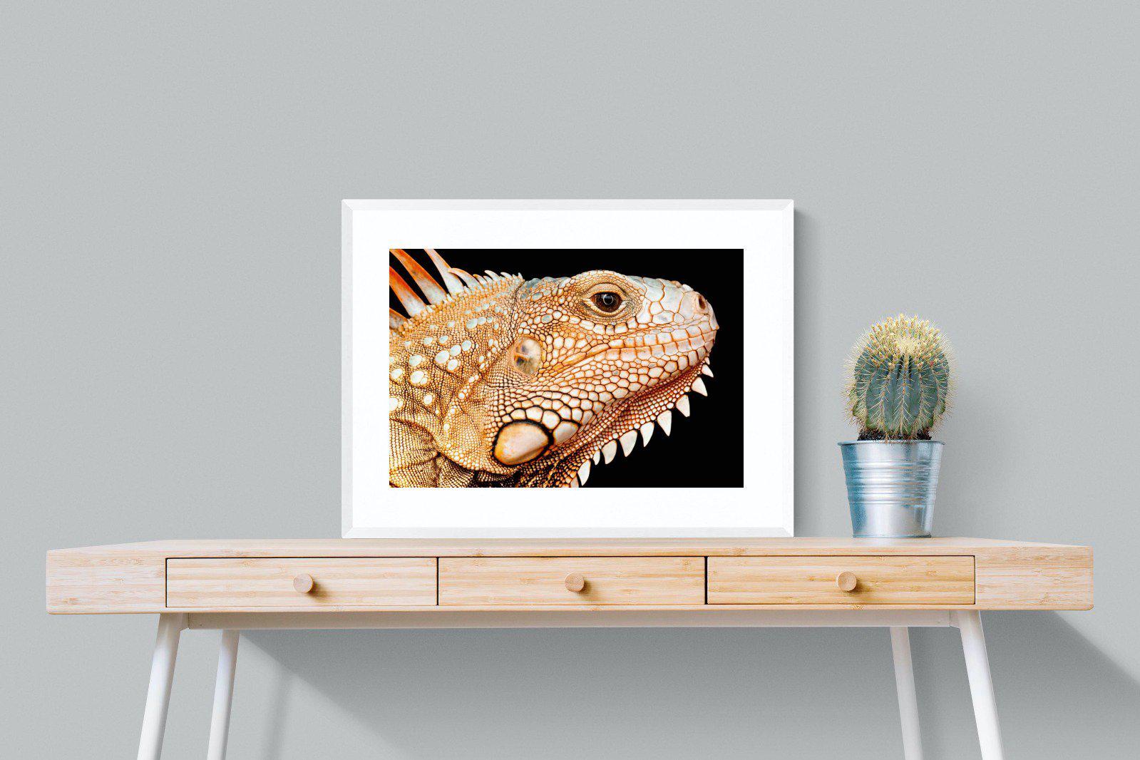 Bearded Dragon-Wall_Art-80 x 60cm-Framed Print-White-Pixalot