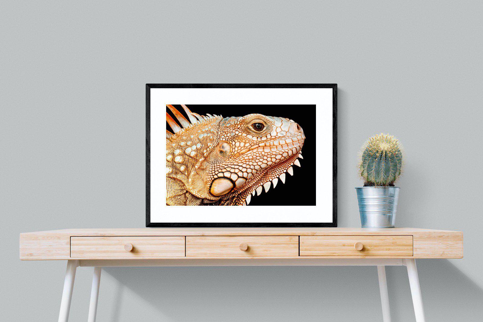 Bearded Dragon-Wall_Art-80 x 60cm-Framed Print-Black-Pixalot