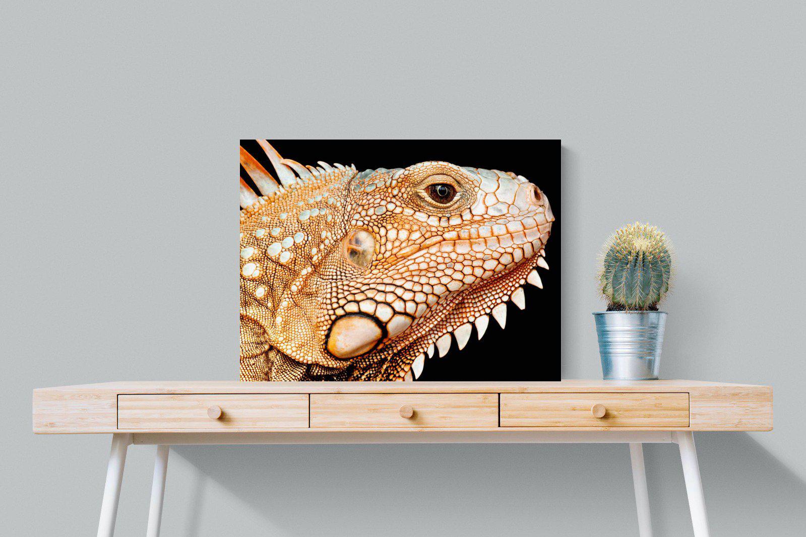 Bearded Dragon-Wall_Art-80 x 60cm-Mounted Canvas-No Frame-Pixalot