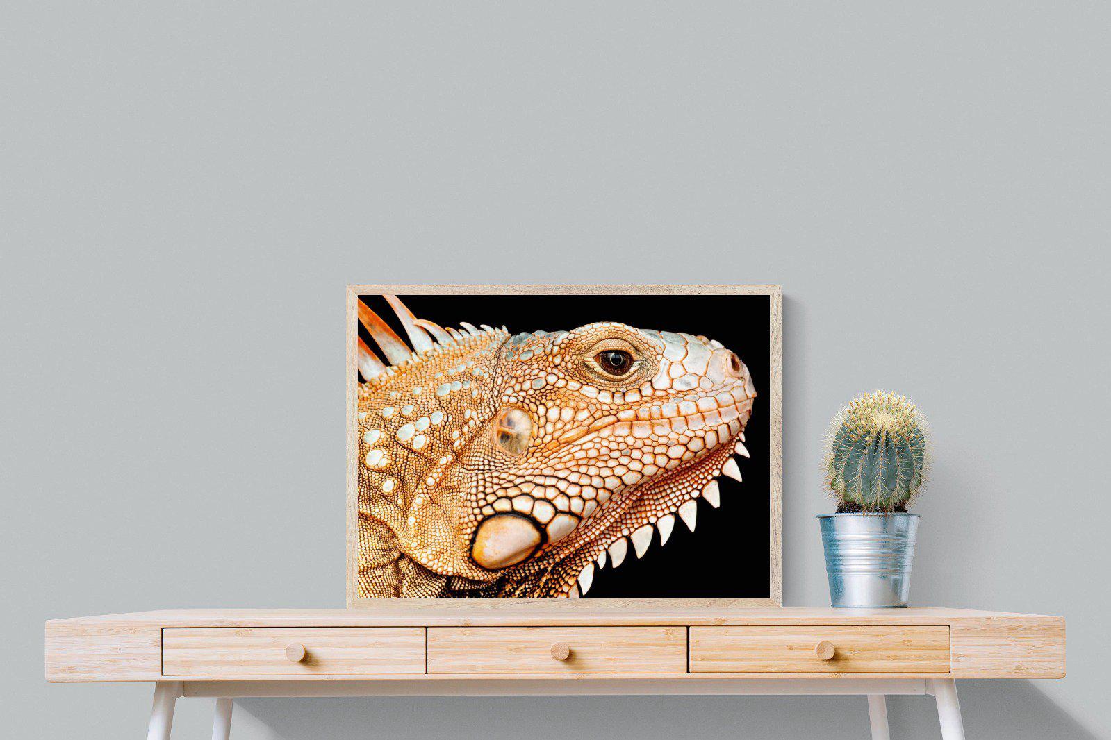 Bearded Dragon-Wall_Art-80 x 60cm-Mounted Canvas-Wood-Pixalot