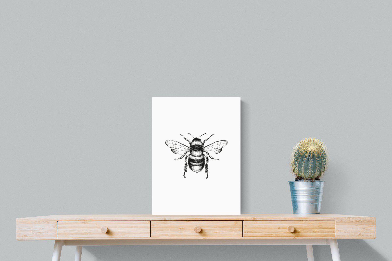 Bee-Wall_Art-45 x 60cm-Mounted Canvas-No Frame-Pixalot
