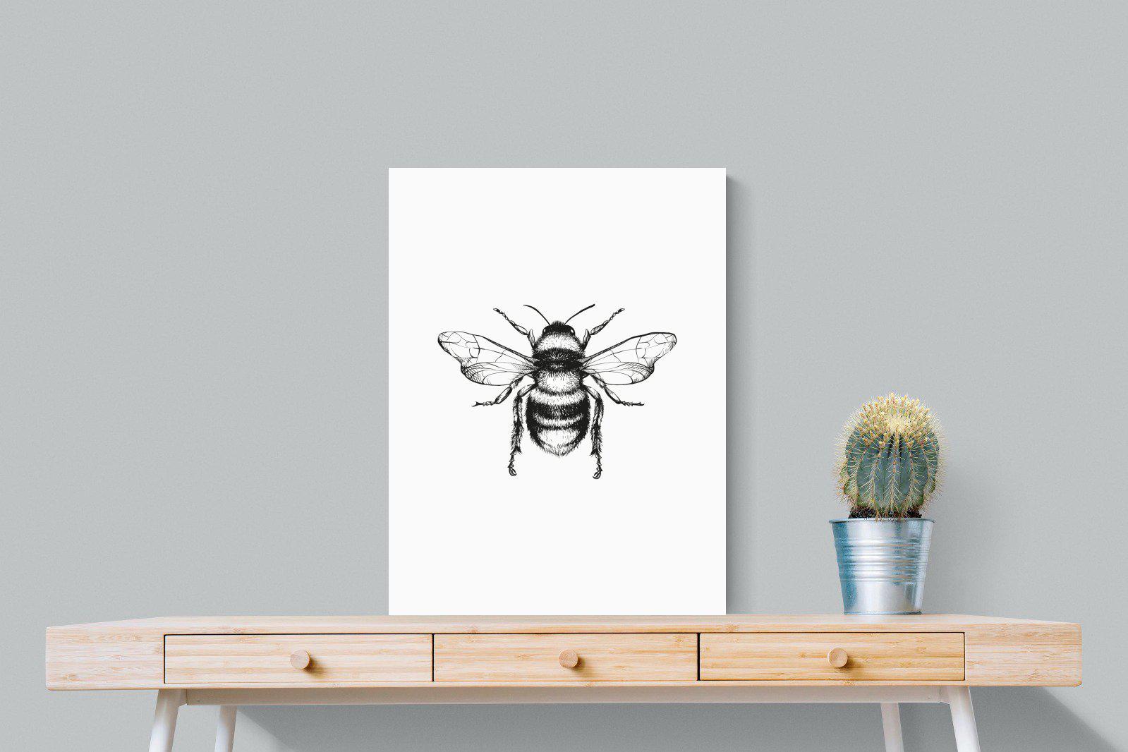 Bee-Wall_Art-60 x 80cm-Mounted Canvas-No Frame-Pixalot