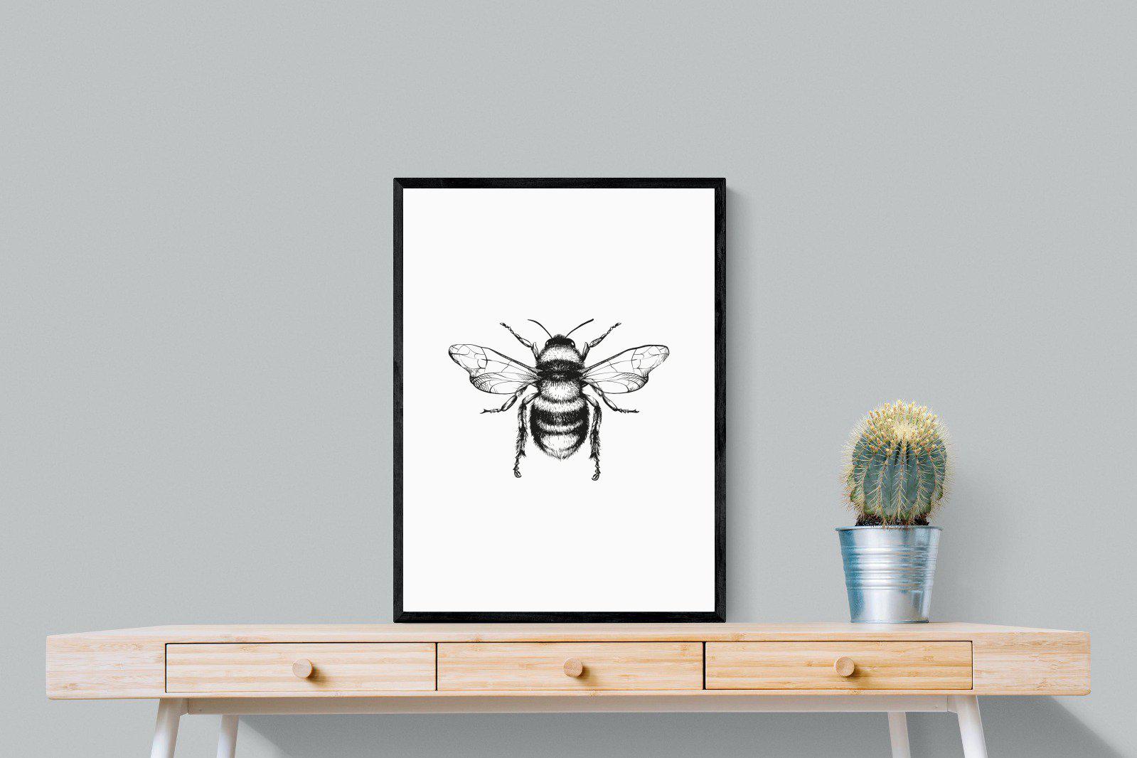 Bee-Wall_Art-60 x 80cm-Mounted Canvas-Black-Pixalot