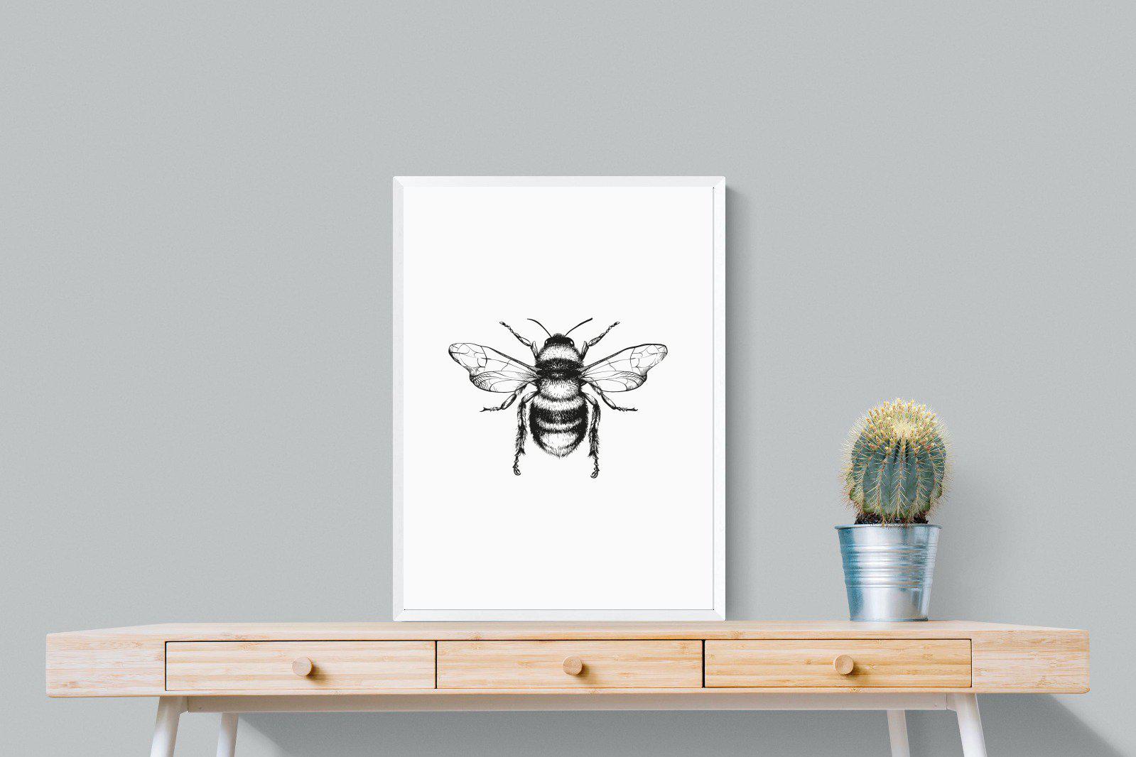 Bee-Wall_Art-60 x 80cm-Mounted Canvas-White-Pixalot
