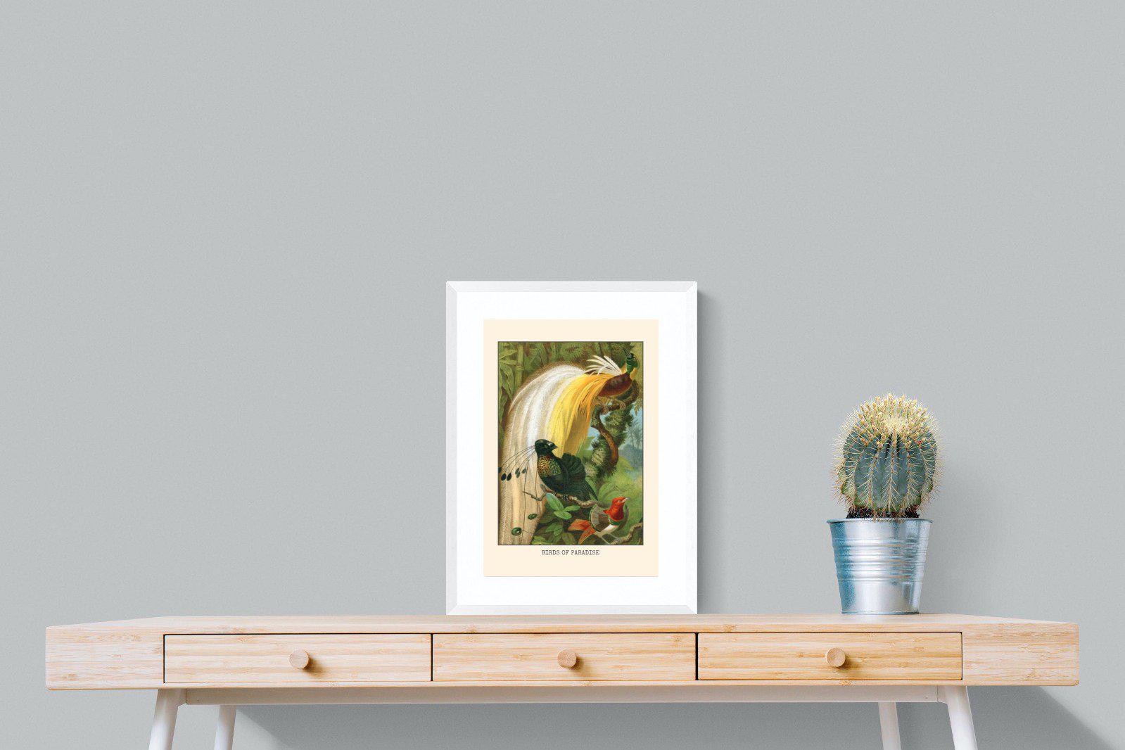 Birds of Paradise Etching-Wall_Art-45 x 60cm-Framed Print-White-Pixalot