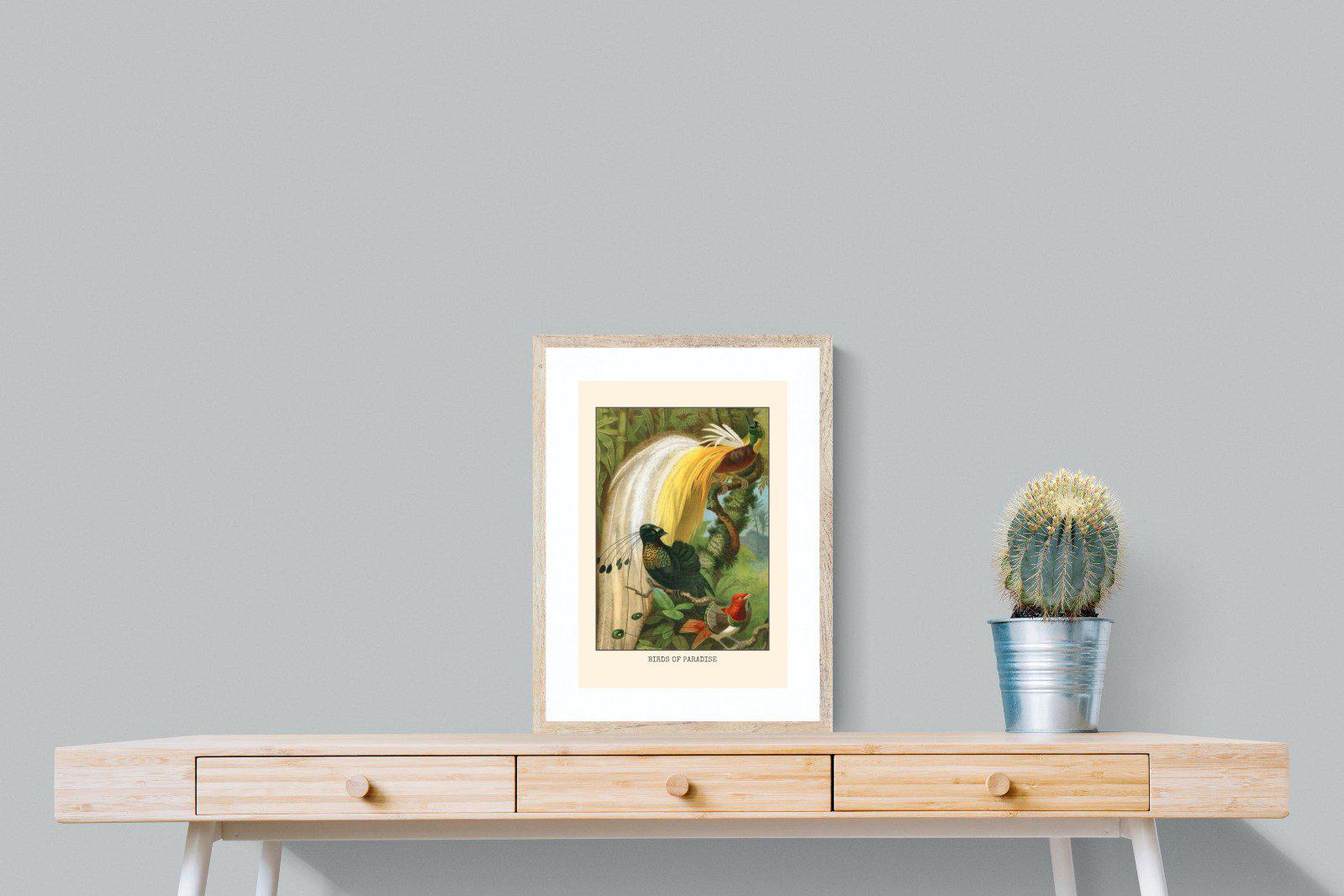 Birds of Paradise Etching-Wall_Art-45 x 60cm-Framed Print-Wood-Pixalot