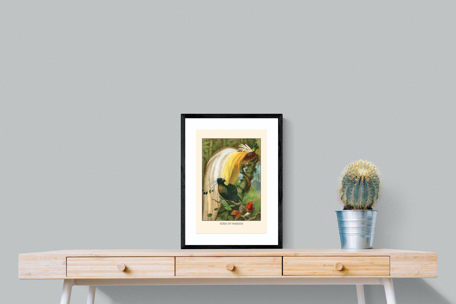 Birds of Paradise Etching-Wall_Art-45 x 60cm-Framed Print-Black-Pixalot