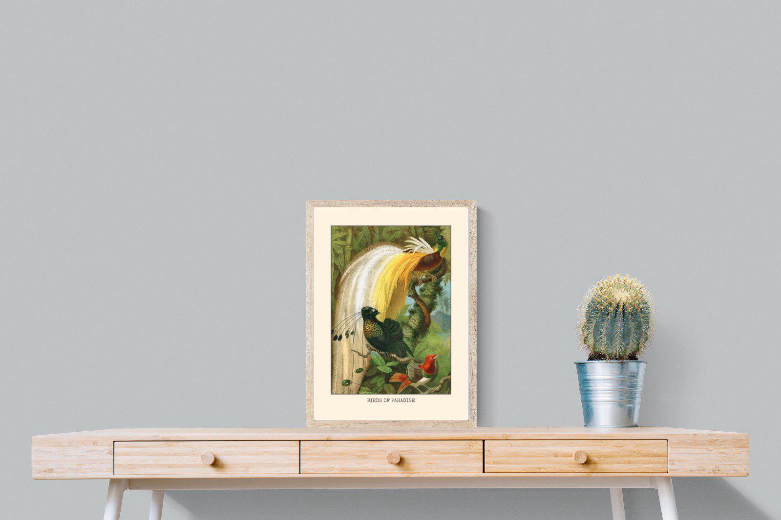 Birds of Paradise Etching-Wall_Art-45 x 60cm-Mounted Canvas-Wood-Pixalot