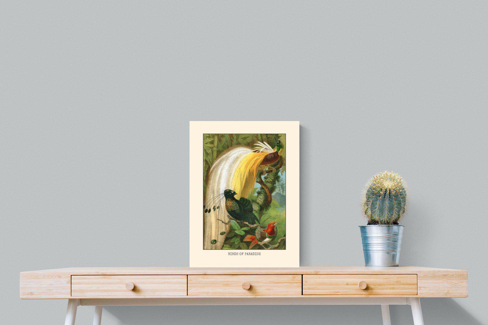 Birds of Paradise Etching-Wall_Art-45 x 60cm-Mounted Canvas-No Frame-Pixalot