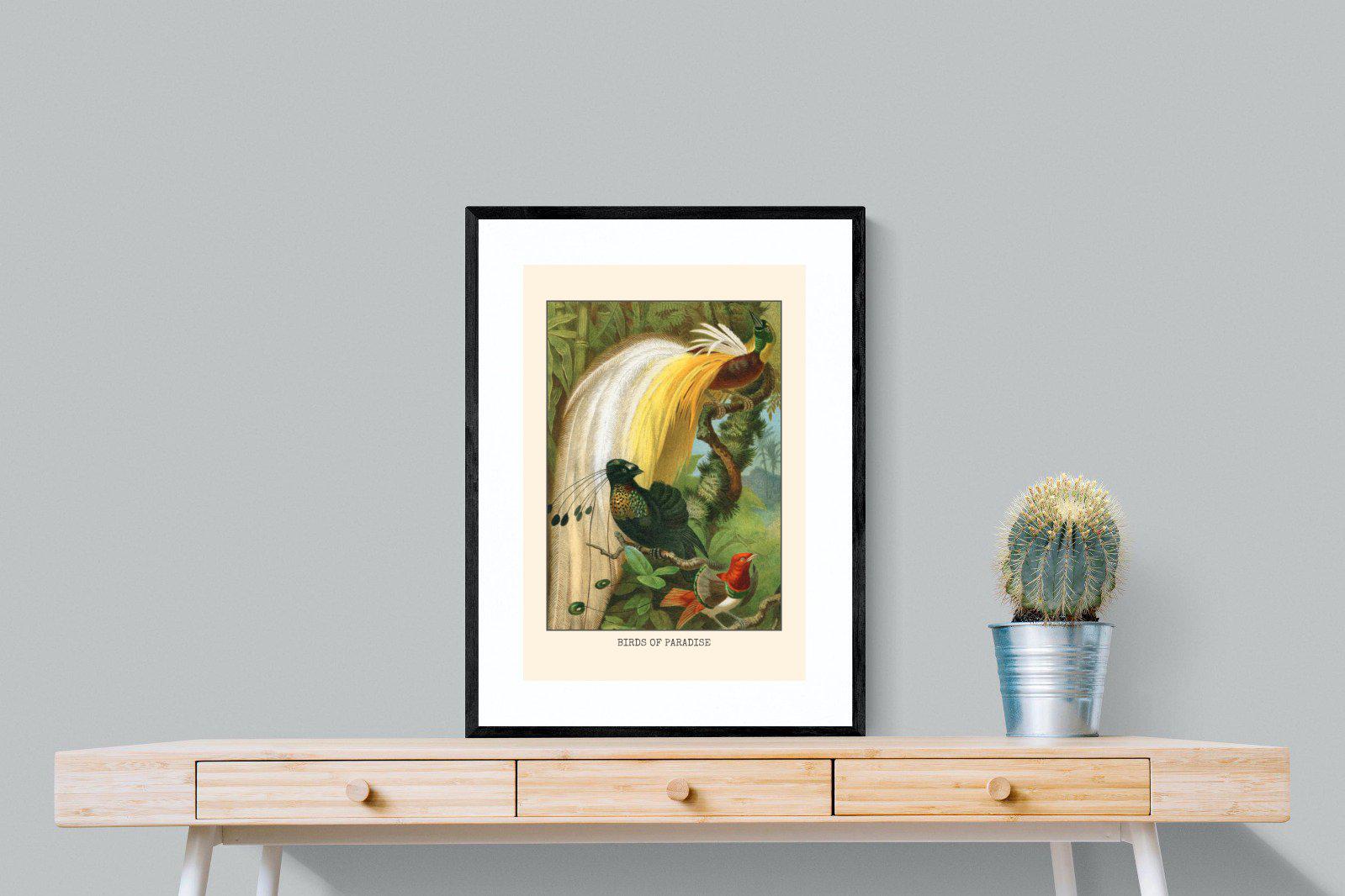 Birds of Paradise Etching-Wall_Art-60 x 80cm-Framed Print-Black-Pixalot