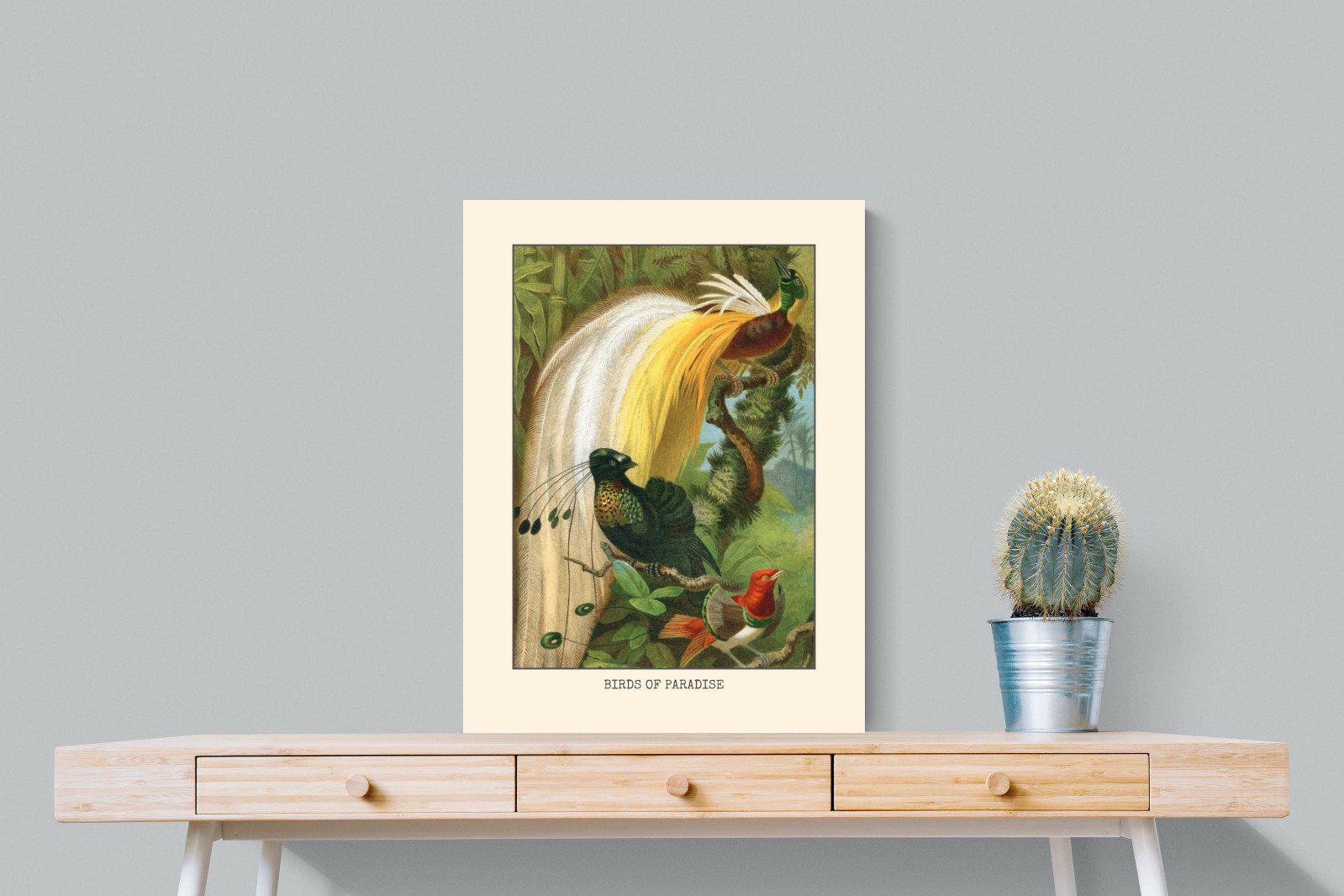 Birds of Paradise Etching-Wall_Art-60 x 80cm-Mounted Canvas-No Frame-Pixalot