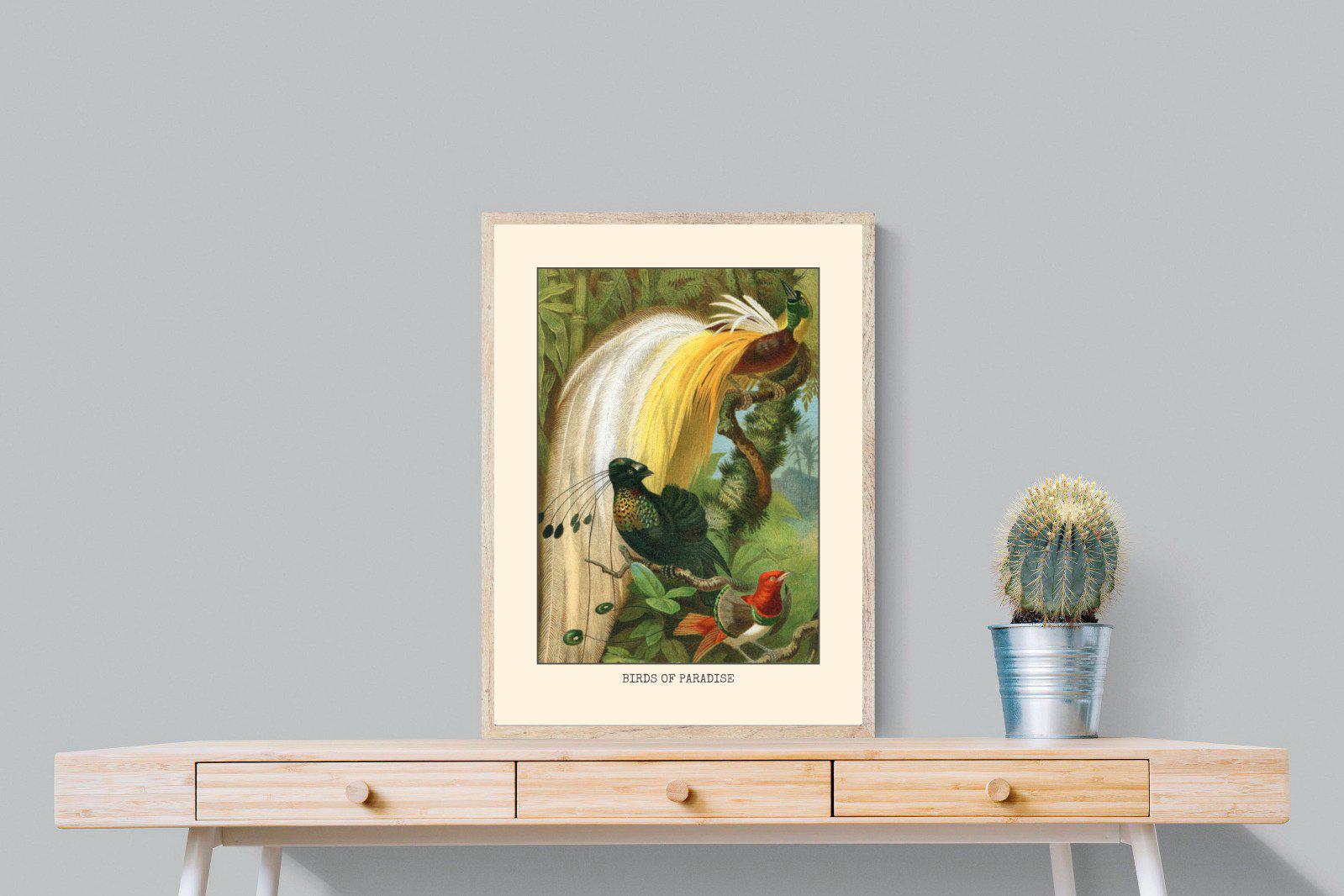 Birds of Paradise Etching-Wall_Art-60 x 80cm-Mounted Canvas-Wood-Pixalot