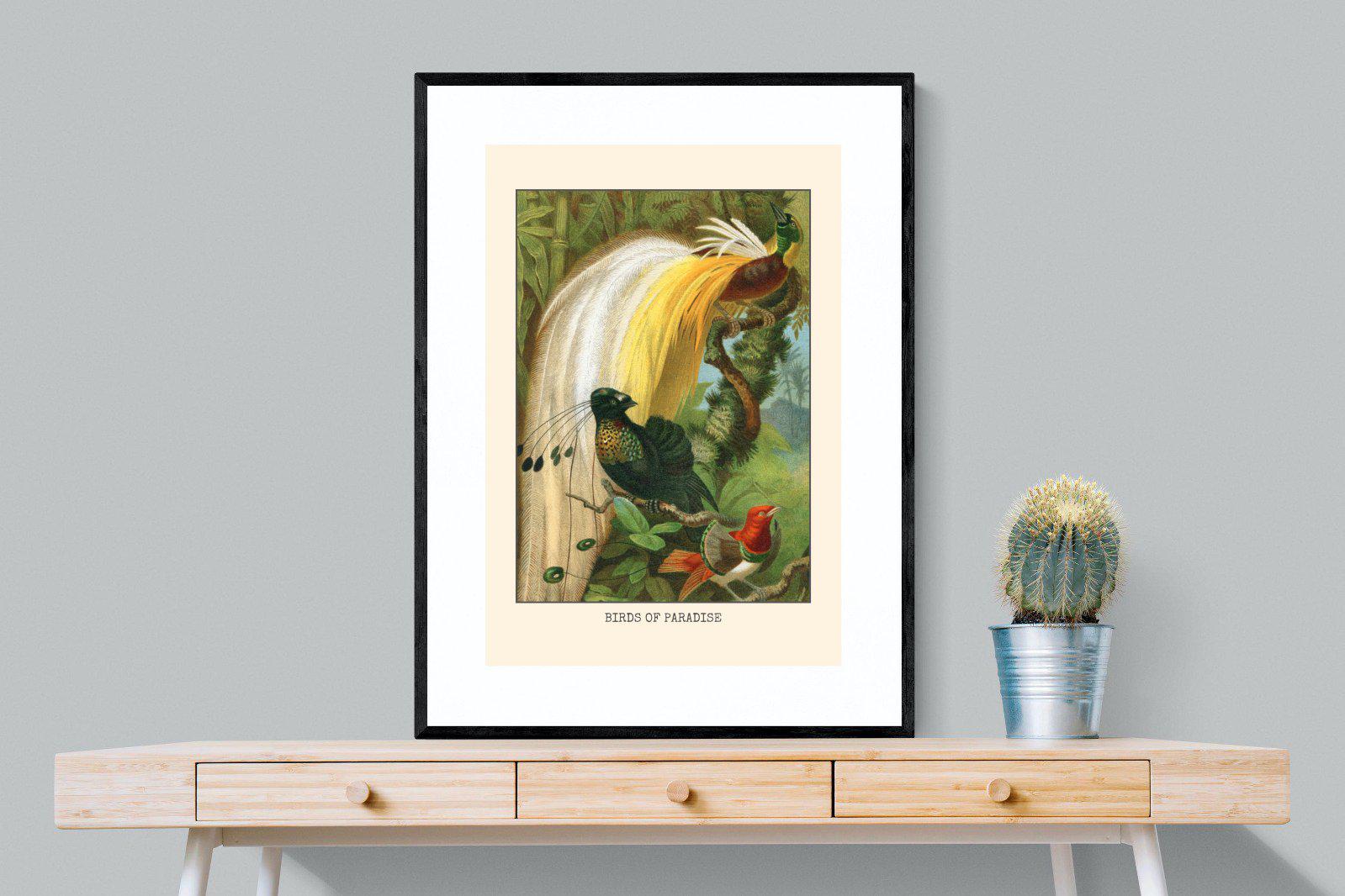 Birds of Paradise Etching-Wall_Art-75 x 100cm-Framed Print-Black-Pixalot