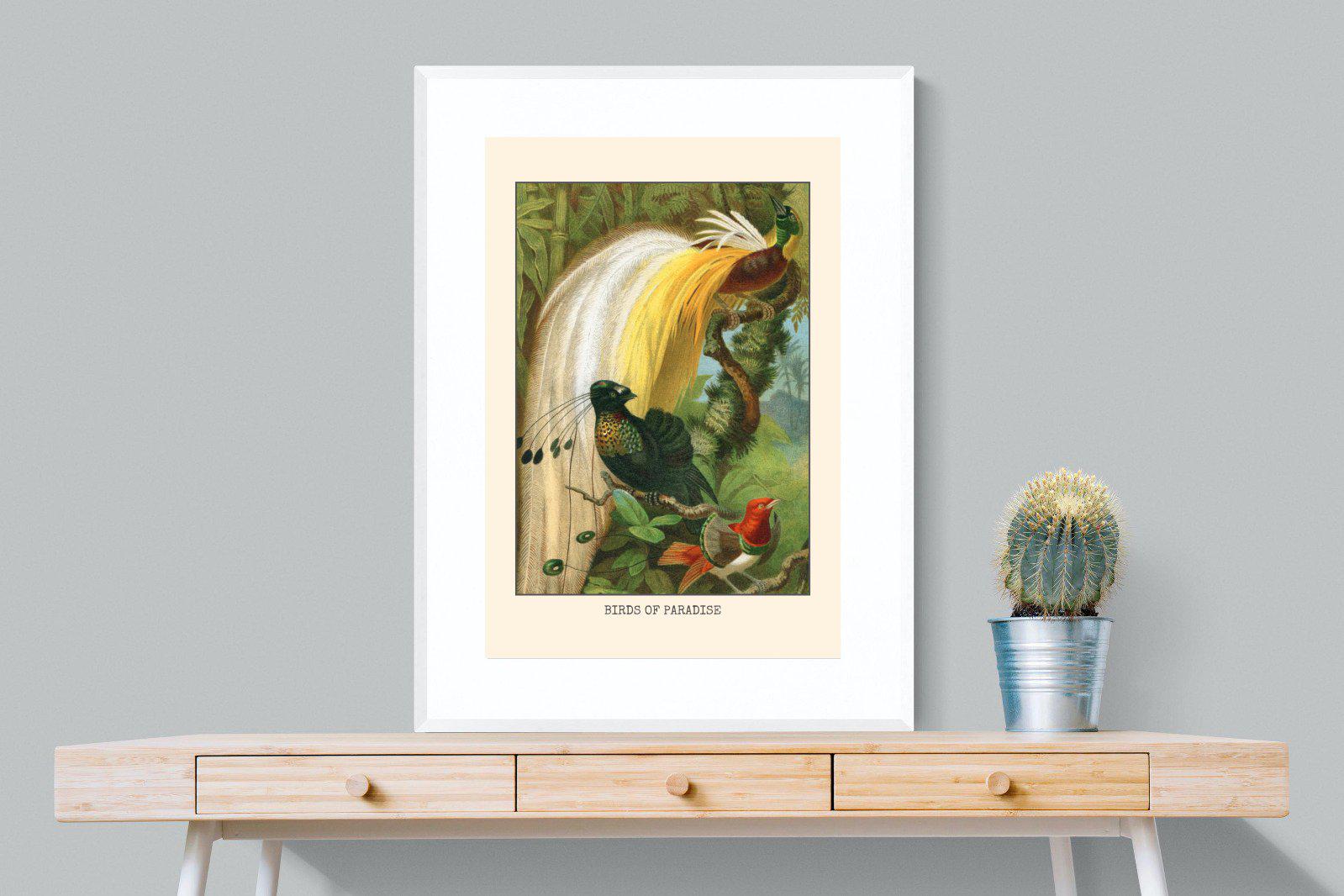 Birds of Paradise Etching-Wall_Art-75 x 100cm-Framed Print-White-Pixalot