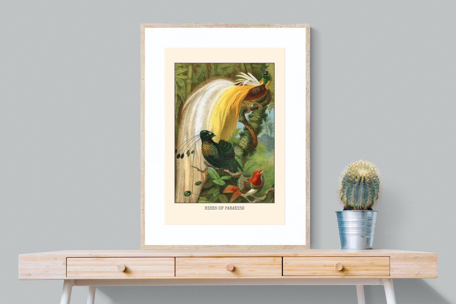 Birds of Paradise Etching-Wall_Art-75 x 100cm-Framed Print-Wood-Pixalot
