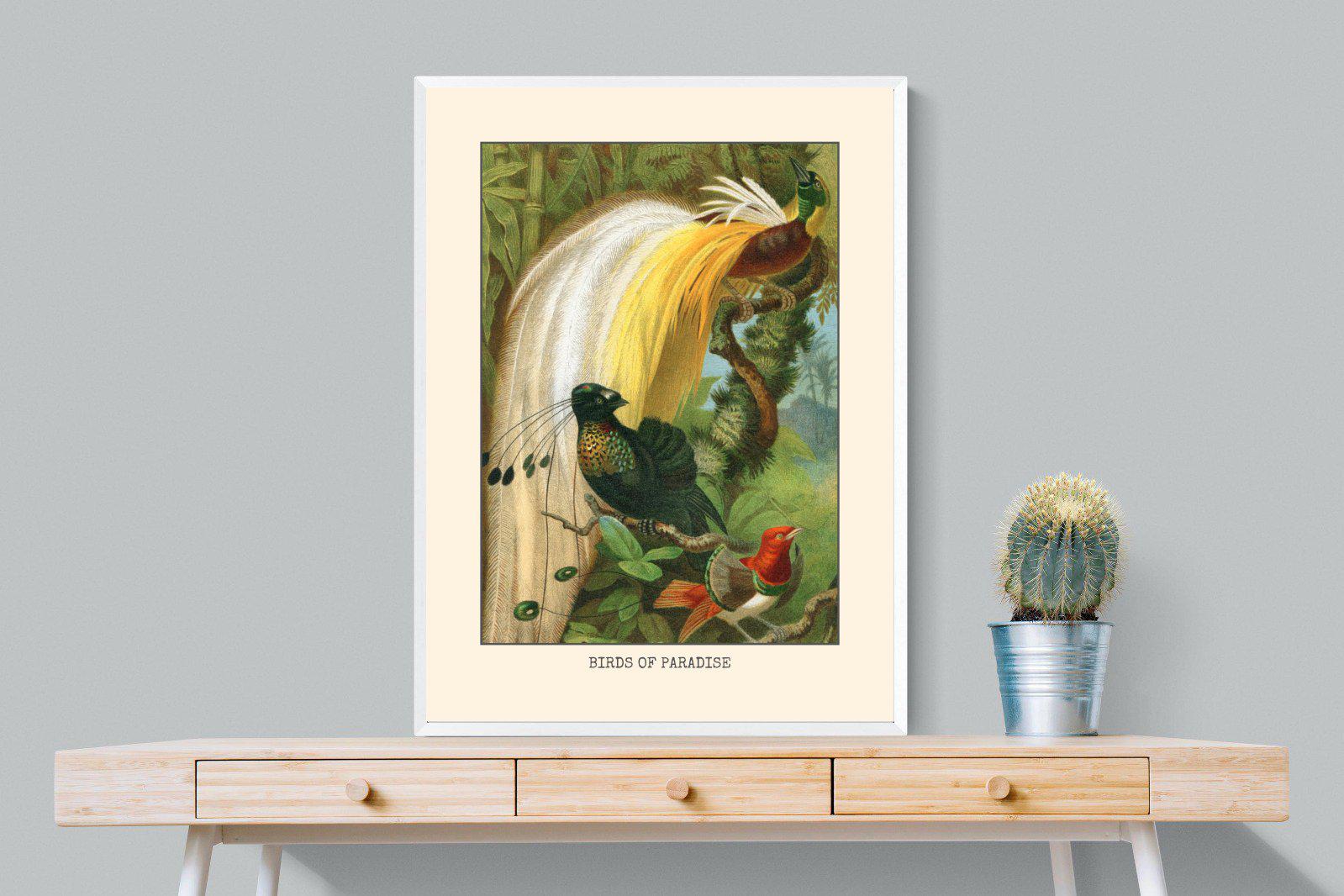 Birds of Paradise Etching-Wall_Art-75 x 100cm-Mounted Canvas-White-Pixalot